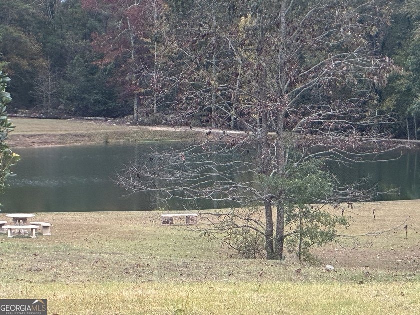 Nestled in the welcoming community of Douglasville, Georgia, the - photo 6