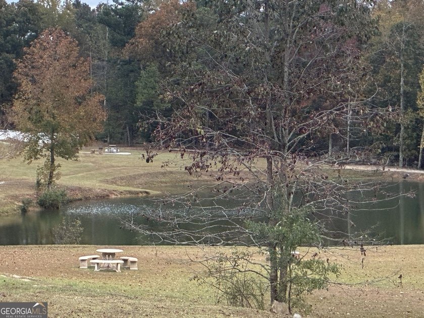 Nestled in the welcoming community of Douglasville, Georgia, the - photo 8