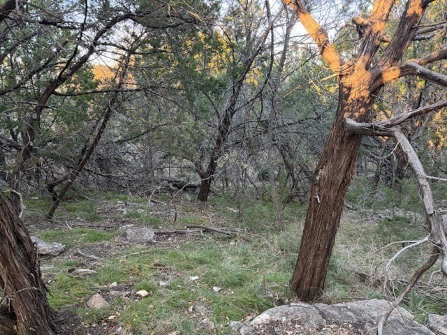 At a little more than a third of an acre, this lot is ready to - photo 3