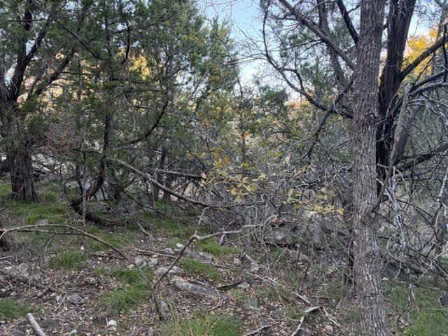 At a little more than a third of an acre, this lot is ready to - photo 8