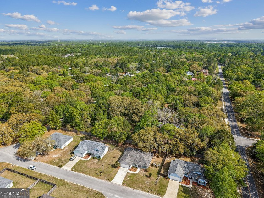 Step into this beautifully designed 4-bedroom, 2-bath home that - photo 43