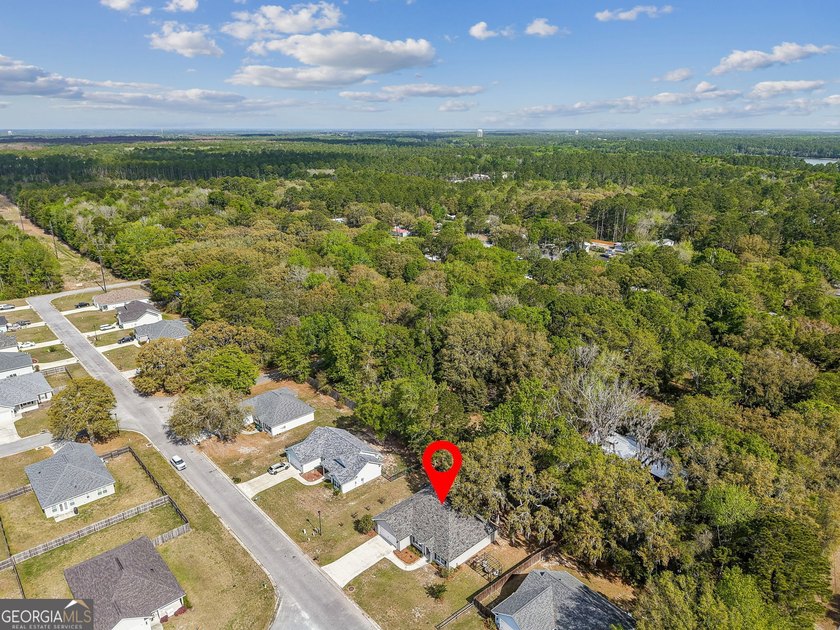 Step into this beautifully designed 4-bedroom, 2-bath home that - photo 44