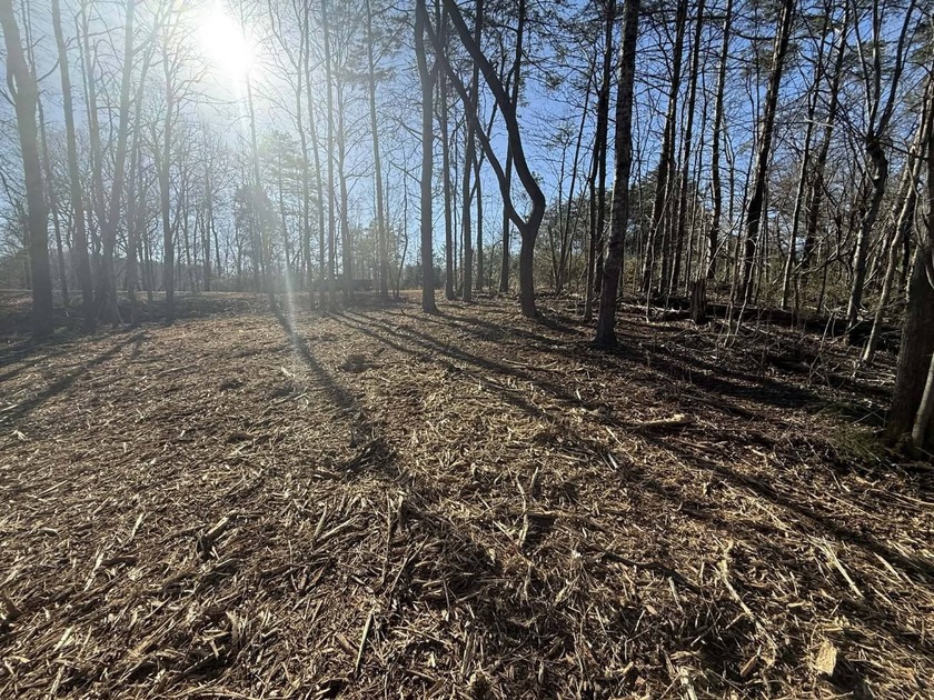 Discover your aviation dreams on this stunning 0.50+/- acre - photo 12