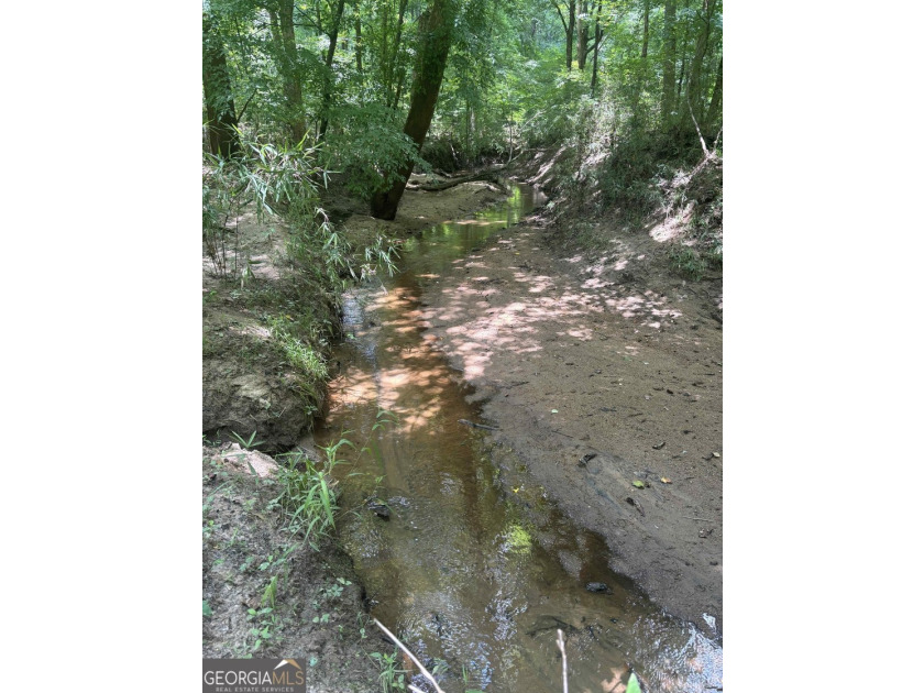 Georgia Premier RE Advisors is pleased to present 50 acres in - photo 11