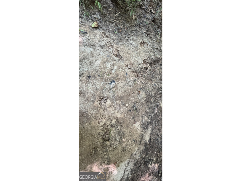 Georgia Premier RE Advisors is pleased to present 50 acres in - photo 12