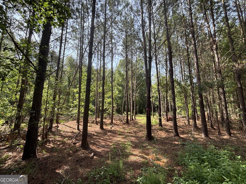 Georgia Premier RE Advisors is pleased to present 50 acres in - photo 13