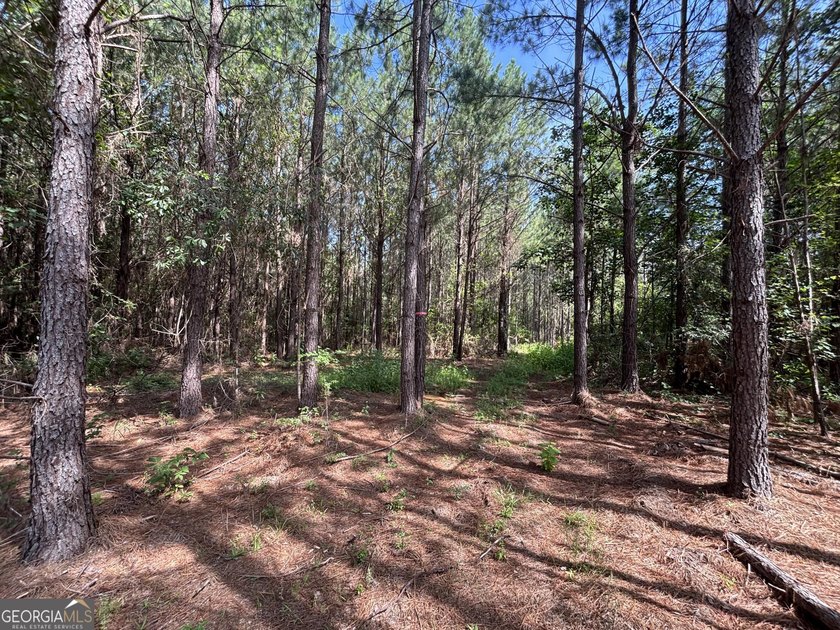 Georgia Premier RE Advisors is pleased to present 50 acres in - photo 14