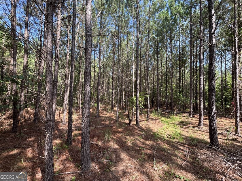 Georgia Premier RE Advisors is pleased to present 50 acres in - photo 15