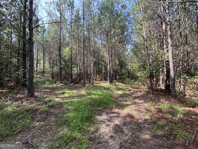 Georgia Premier RE Advisors is pleased to present 50 acres in - photo 16