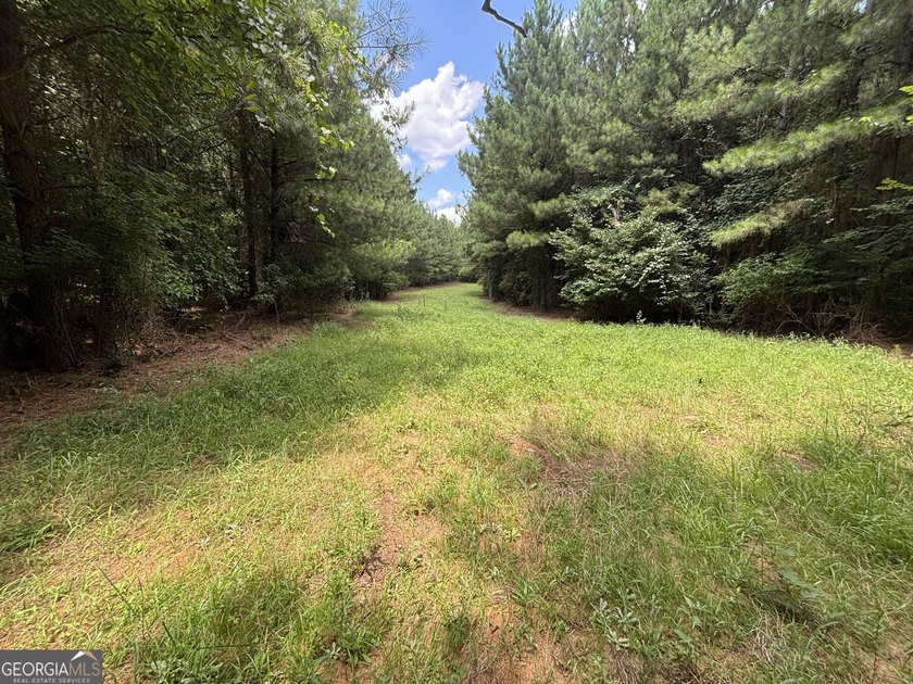 Georgia Premier RE Advisors is pleased to present 50 acres in - photo 17