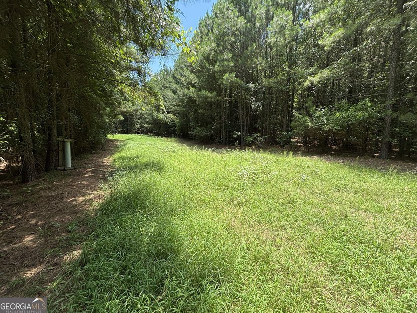Georgia Premier RE Advisors is pleased to present 50 acres in - photo 18