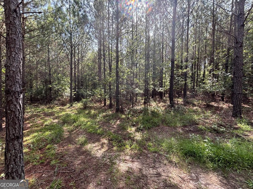 Georgia Premier RE Advisors is pleased to present 50 acres in - photo 19