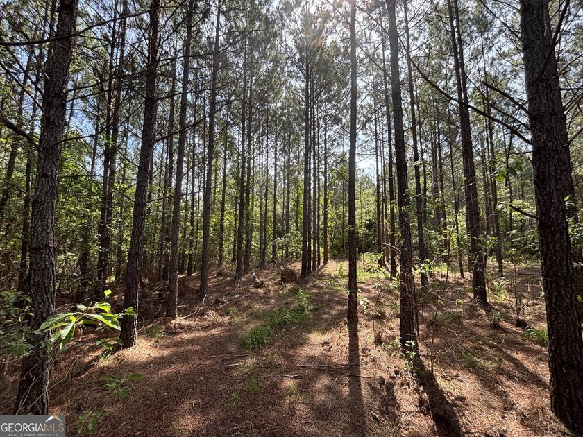 Georgia Premier RE Advisors is pleased to present 50 acres in - photo 20