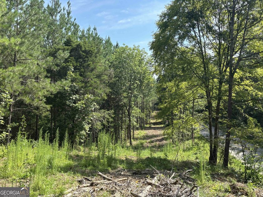 Georgia Premier RE Advisors is pleased to present 50 acres in - photo 21