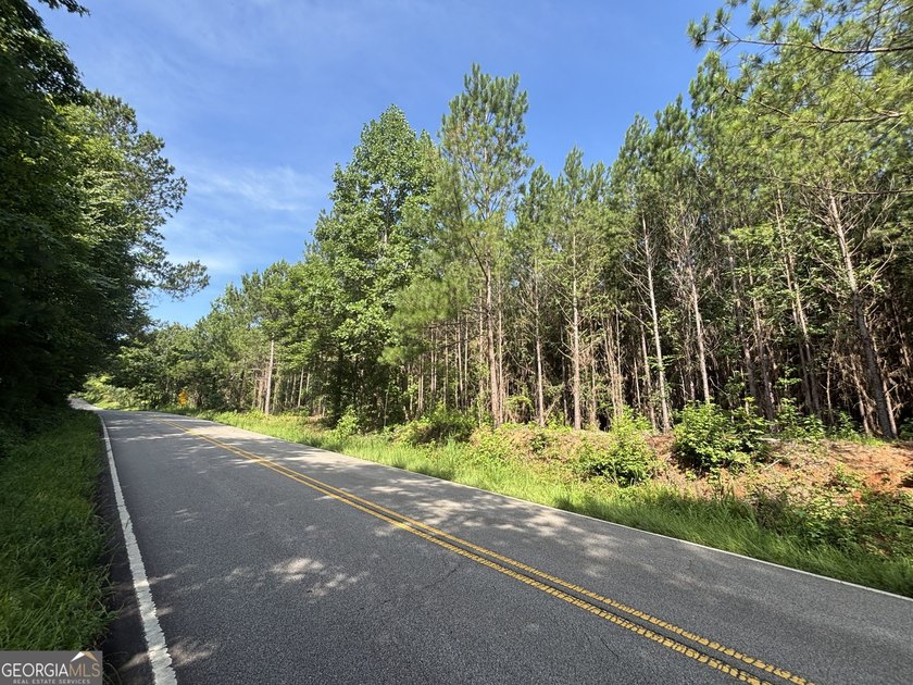 Georgia Premier RE Advisors is pleased to present 50 acres in - photo 22