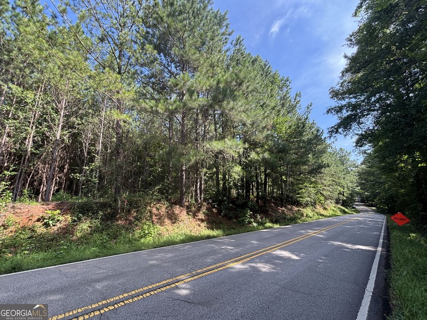 Georgia Premier RE Advisors is pleased to present 50 acres in - photo 23