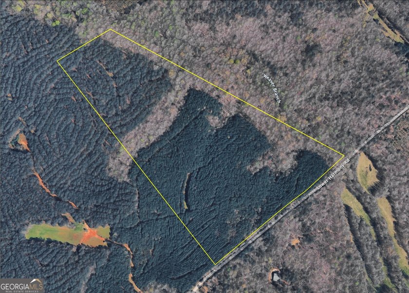 Georgia Premier RE Advisors is pleased to present 50 acres in - photo 24
