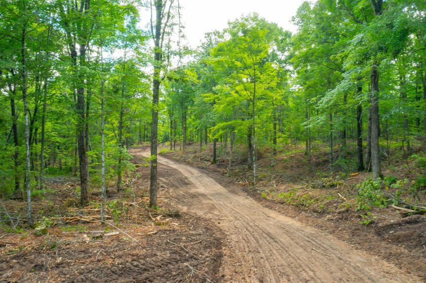 Discover your personal retreat on this extraordinary 80 acre - photo 50