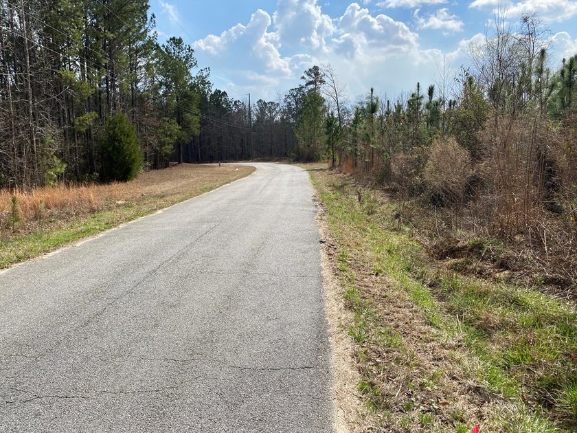 Parcel 4: 20 acres. Prime land on Baker Road?an increasingly - photo 5