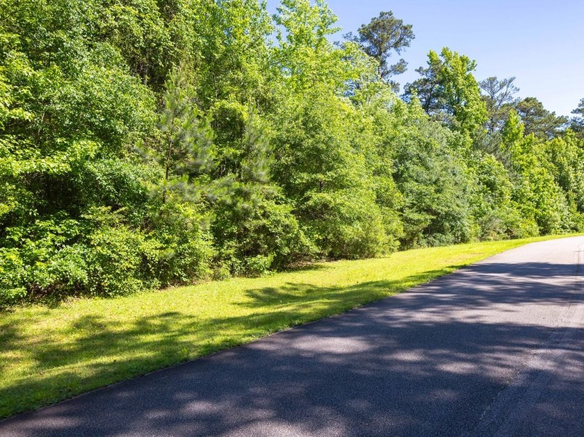 Almost six acres in an established neighborhood with lake - photo 2