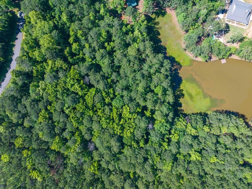 Almost six acres in an established neighborhood with lake - photo 4