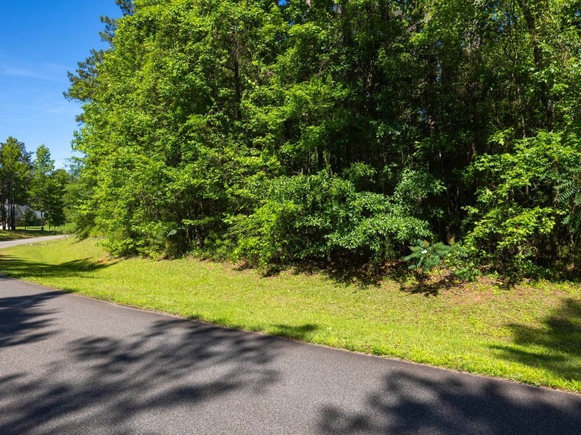 Almost six acres in an established neighborhood with lake - photo 7