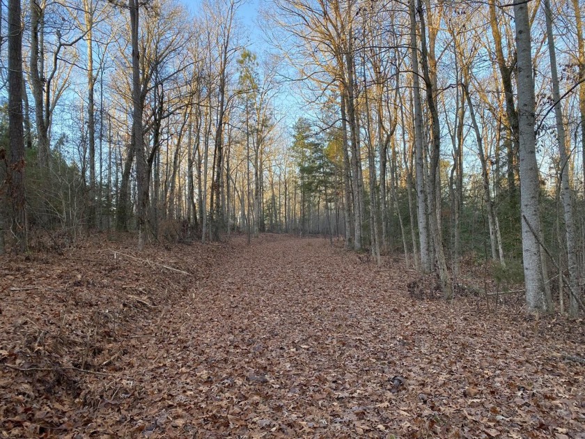 Remarkable development tract on Clouds Creek, Lake Murray. Just - photo 11