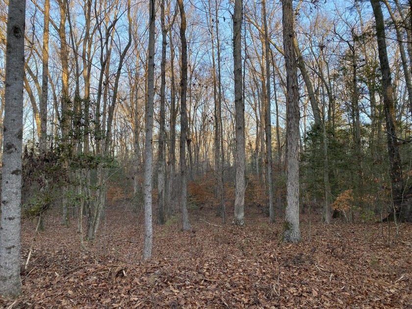 Remarkable development tract on Clouds Creek, Lake Murray. Just - photo 12