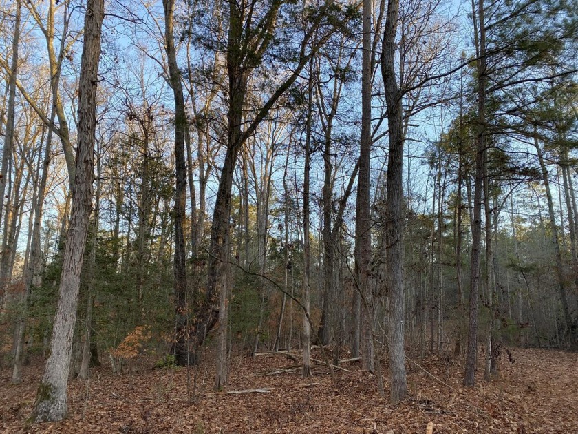 Remarkable development tract on Clouds Creek, Lake Murray. Just - photo 13
