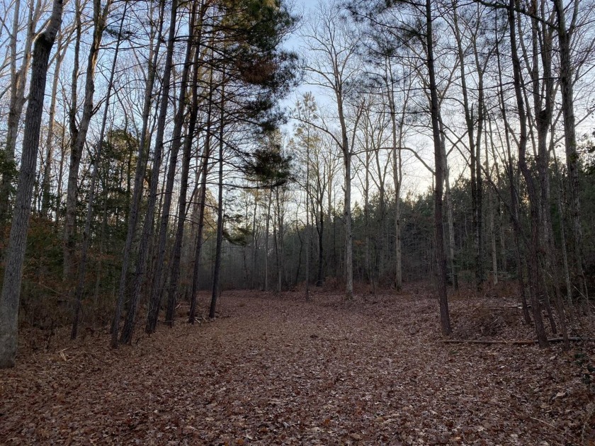 Remarkable development tract on Clouds Creek, Lake Murray. Just - photo 14