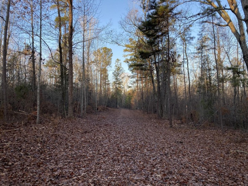 Remarkable development tract on Clouds Creek, Lake Murray. Just - photo 15