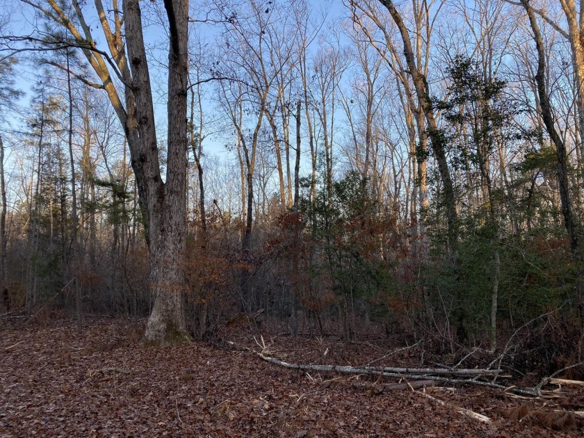 Remarkable development tract on Clouds Creek, Lake Murray. Just - photo 16