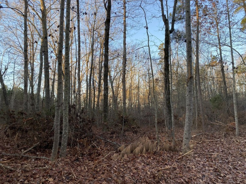 Remarkable development tract on Clouds Creek, Lake Murray. Just - photo 17
