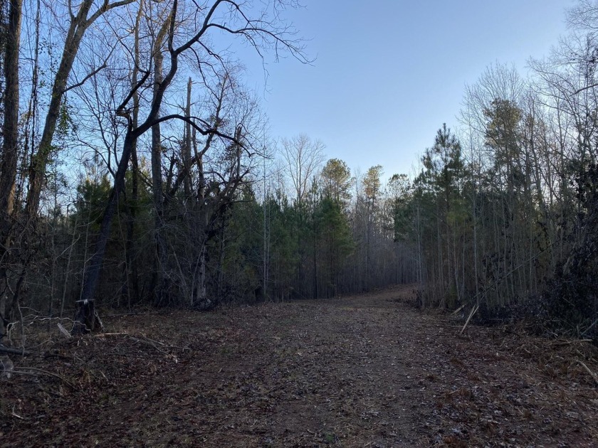 Remarkable development tract on Clouds Creek, Lake Murray. Just - photo 18