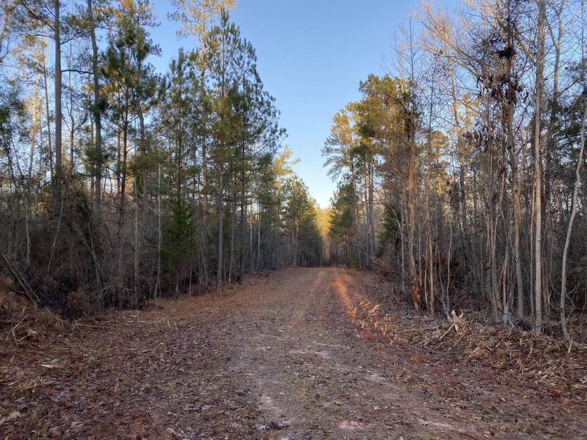 Remarkable development tract on Clouds Creek, Lake Murray. Just - photo 19