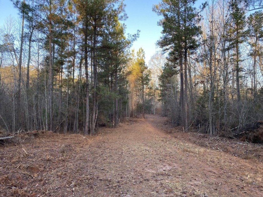 Remarkable development tract on Clouds Creek, Lake Murray. Just - photo 20