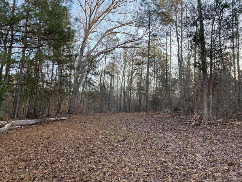 Remarkable development tract on Clouds Creek, Lake Murray. Just - photo 21