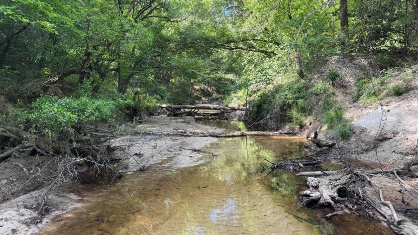 Located near Neely, Mississippi, this diverse hunting property - photo 2