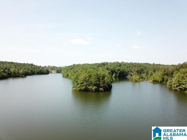 Sawtooth Branch is a private gated community on 240 acres in the - photo 3
