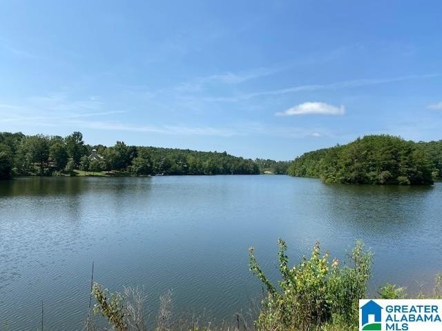 Sawtooth Branch is a private gated community on 240 acres in the - photo 4