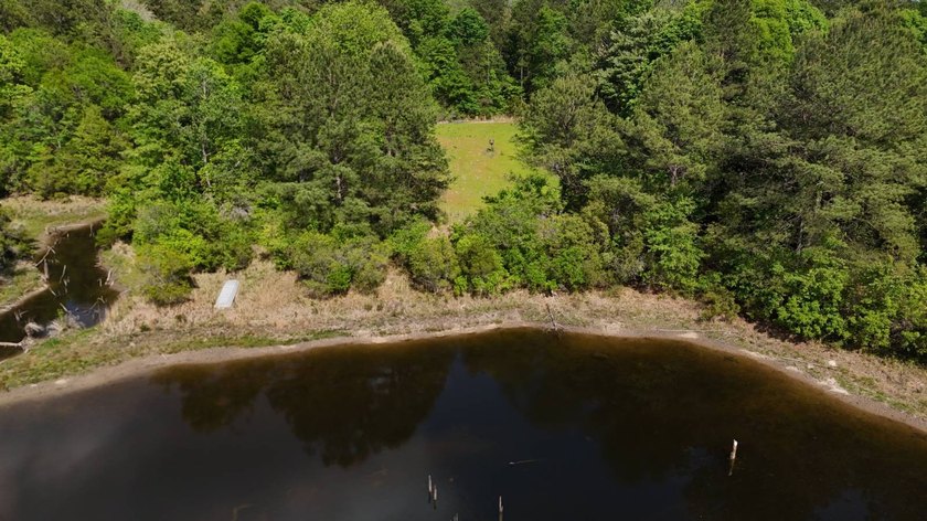 Located near Neely, Mississippi, this diverse hunting property - photo 4