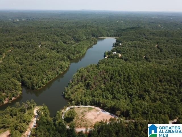 Sawtooth Branch is a private gated community on 240 acres in the - photo 6