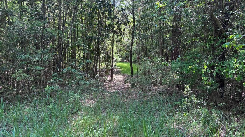 Located near Neely, Mississippi, this diverse hunting property - photo 6