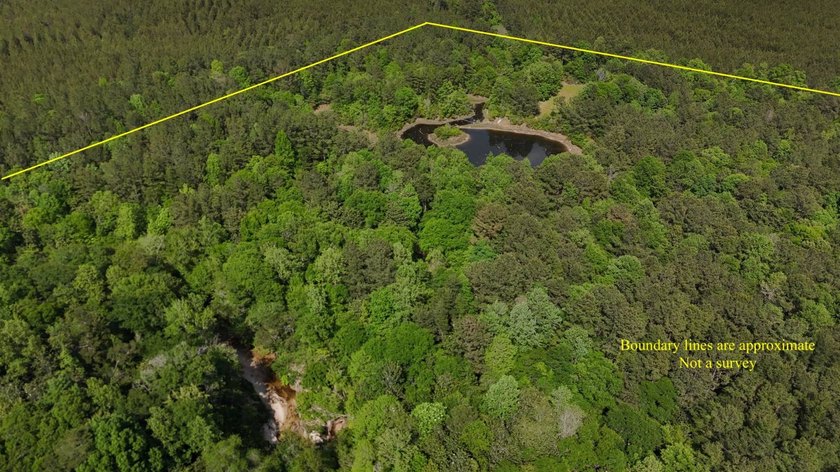 Located near Neely, Mississippi, this diverse hunting property - photo 8