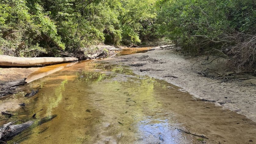 Located near Neely, Mississippi, this diverse hunting property - photo 9