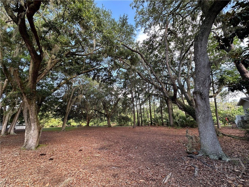 Rare opportunity to build a custom home on one of the remaining - photo 7