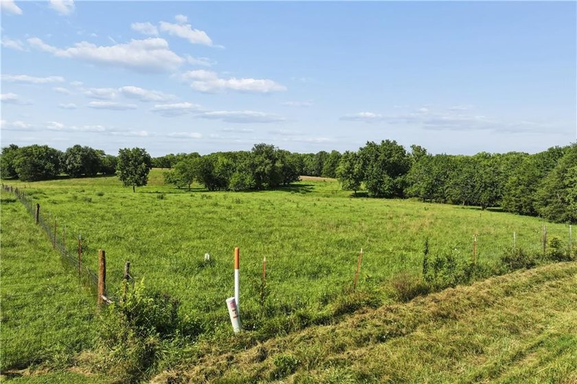Perfect building site with this 19.63 of gentle rolling - photo 8