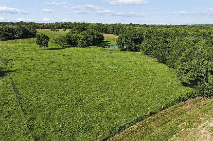 Perfect building site with this 19.63 of gentle rolling - photo 9