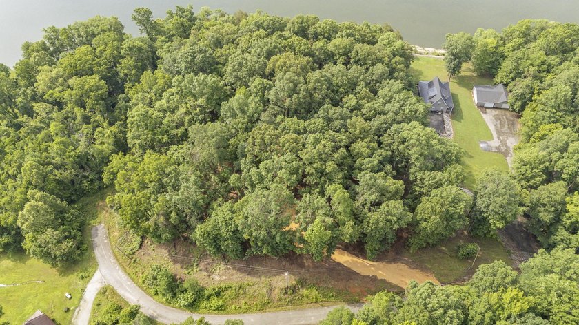 Outstanding TN River Waterfront Property! Rarely does an - photo 33