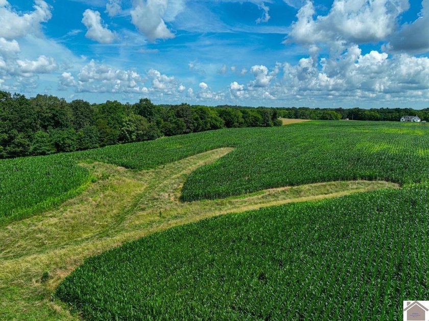 This tract offers a strong mix of hunting and tillable income - photo 4